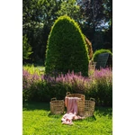 Kép 4/6 - The s'il vous Plaid - Salmon Pink