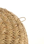Kép 8/9 - The Caribe Shell Plate - Natural White - M