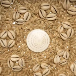 Kép 6/9 - The Caribe Shell Plate - Natural White - M
