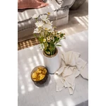 Kép 4/5 - The Coco Food Bowl - Natural White