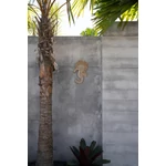 Kép 3/8 - The Shell Sea Horse - White