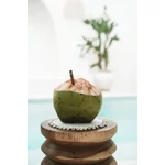 Kép 4/5 - The Seagrass Shell Pan Coaster - White