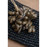 Kép 6/10 - The Brown Cowrie Shell Tassel