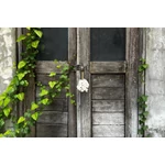 Kép 2/5 - The Kai Shell Keychain - White