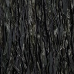 Kép 2/5 - The Used To be Wild - Black