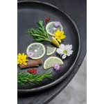 Kép 5/9 - The Burned Classic Plate - Black - L