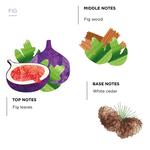 Kép 3/3 - Coté Bougie Füge diffúzor lakásillatosító 100 ml
