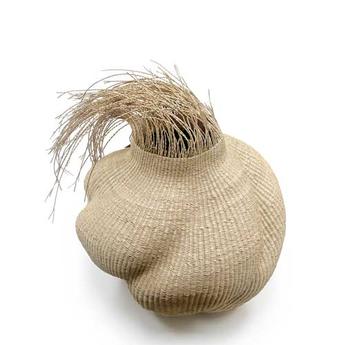 ghana-garlic-kosar
