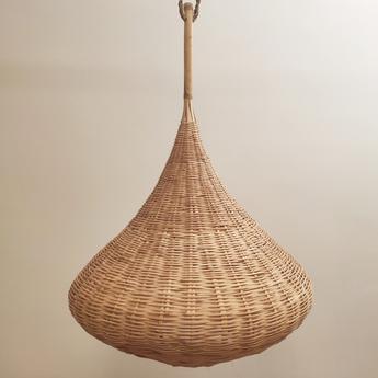 Naturalii Cebolla L