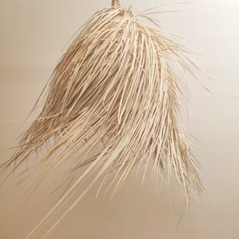Naturalii Boho Palmerie