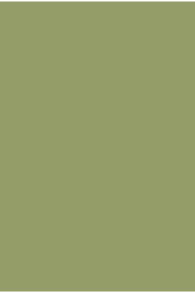 100 ml minta Olive No. 13