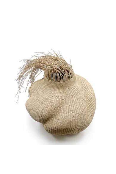 ghana-garlic-kosar