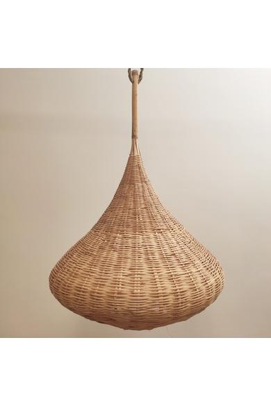 Naturalii Cebolla L