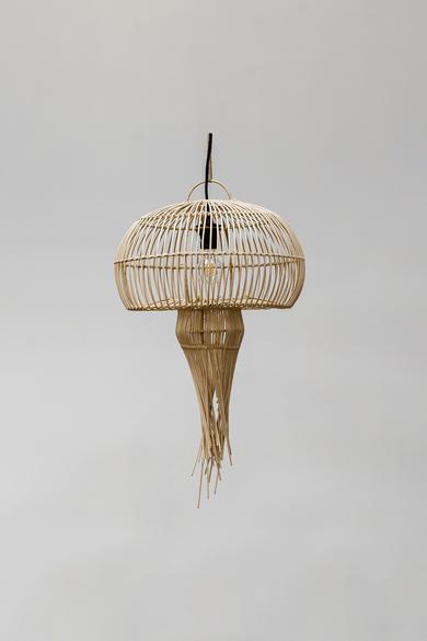 Naturalii-medusa-lampabura