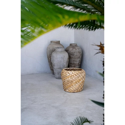 The Chidi Basket