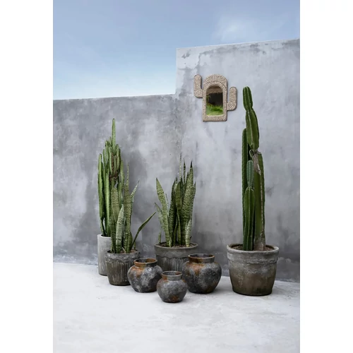 The Cactus Shell Mirror - White