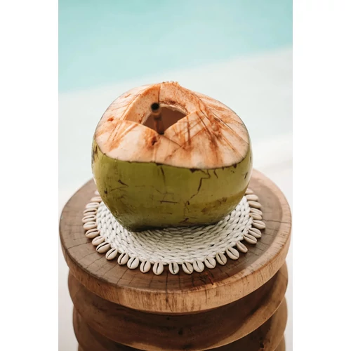 The Seagrass Shell Pan Coaster - White