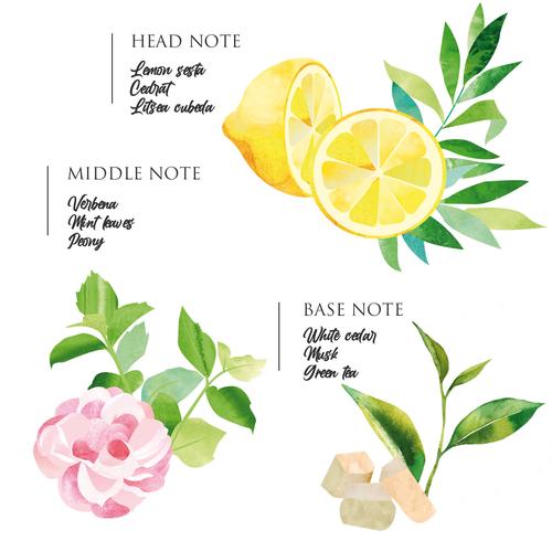Coté Bougie Illatgyertya  - Sabra Verbéna