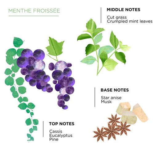 Coté Bougie Diffúzor lakásillatosító Mentatea 200 ml