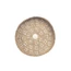 The Caribe Shell Plate - Natural White - M